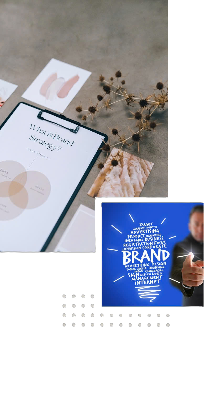 Branding design marketing - định vị thương hiệu